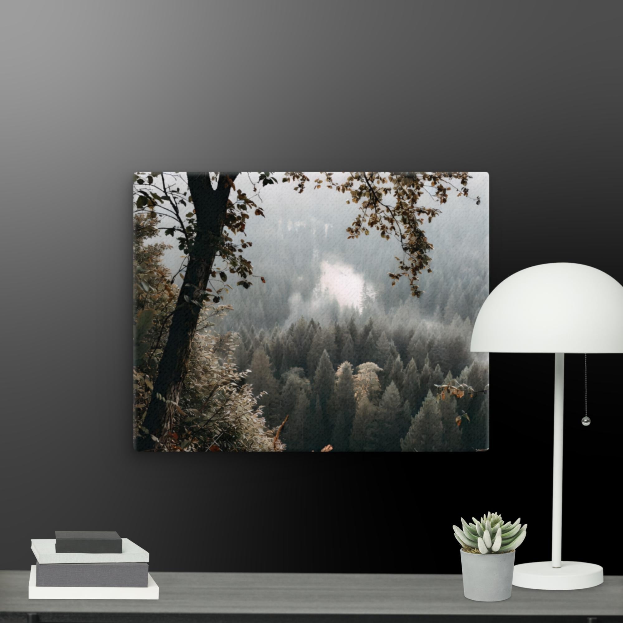 The Nature Collection